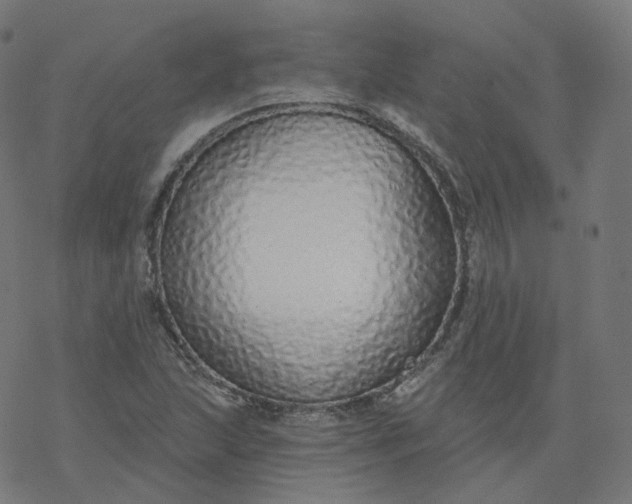 X0000077401215200611032018