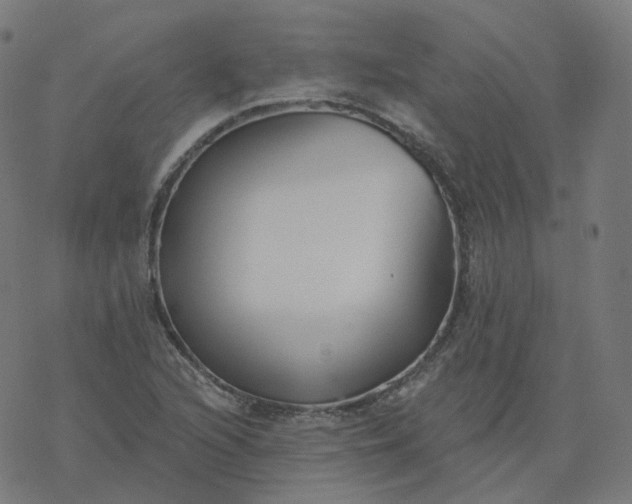 X0000077401216200611032018