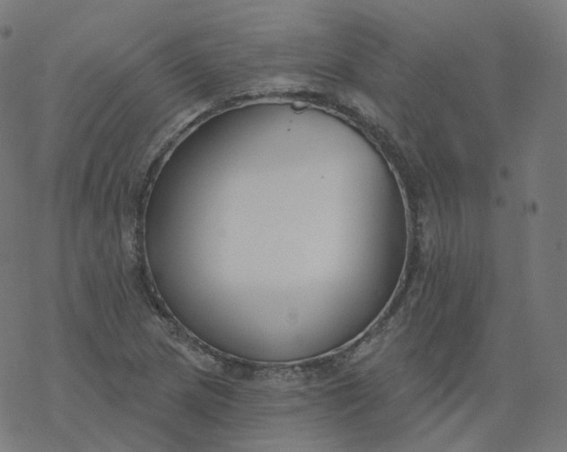 X0000077401217200611032018