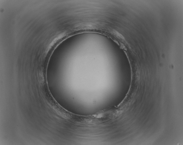 X0000077401218200611032018