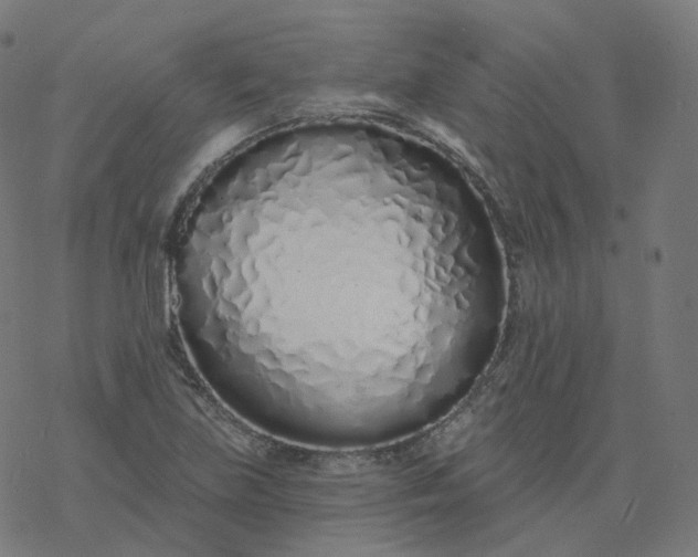 X0000077401219200611032018