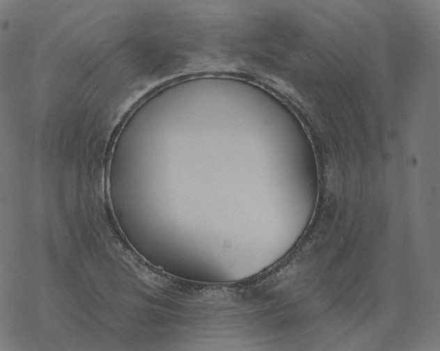 X0000077401220200611032018