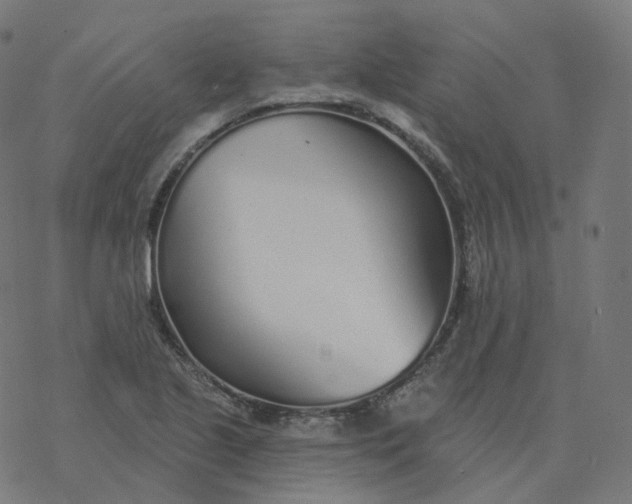 X0000077401221200611032018