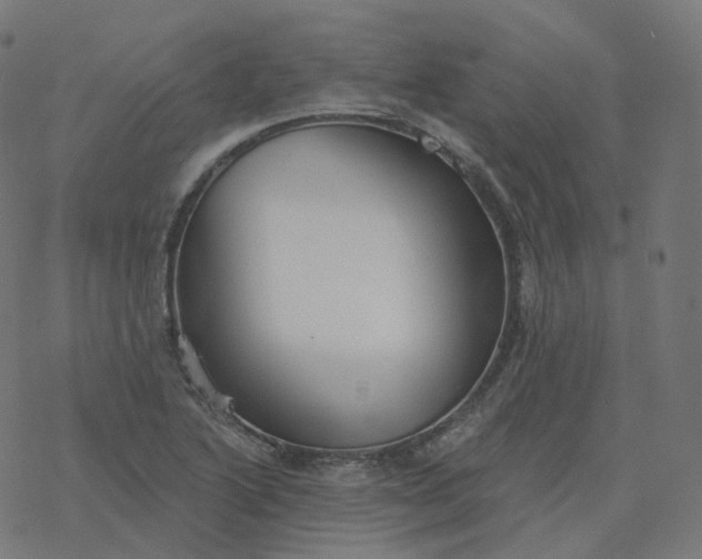 X0000077401222200611032018