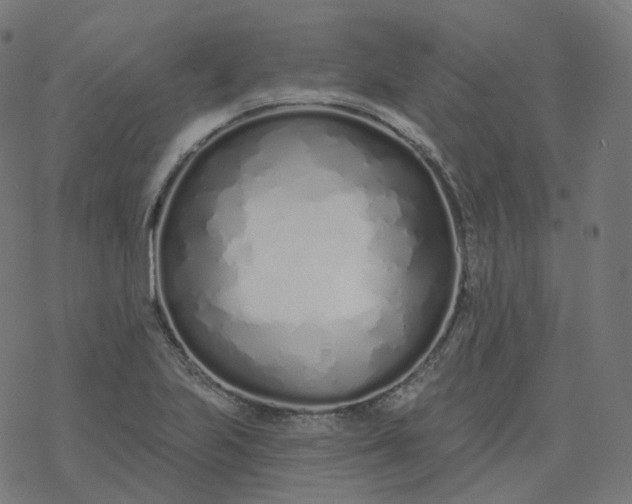 X0000077401223200611032018