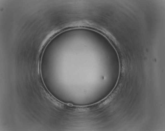 X0000077401224200611032018