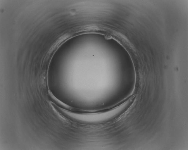 X0000077401225200611032018