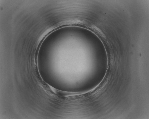 X0000077401226200611032018