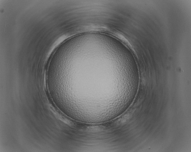 X0000077401227200611032018