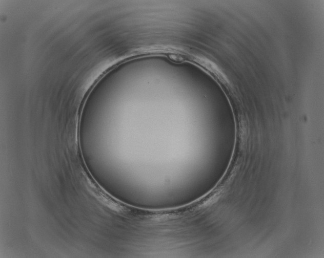 X0000077401228200611032018