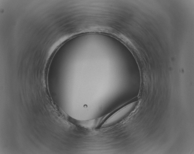 X0000077401230200611032018