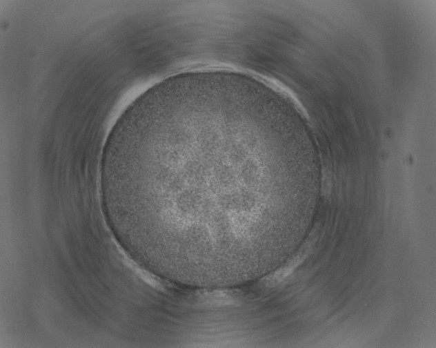 X0000077401231200611032018