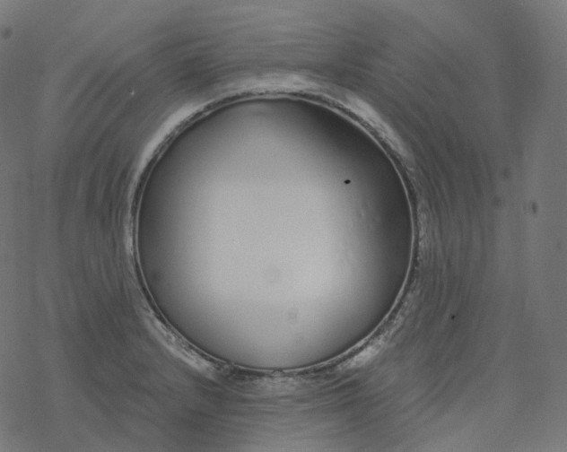 X0000077401232200611032018