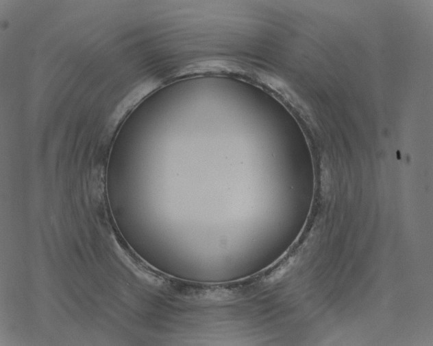 X0000077401233200611032018