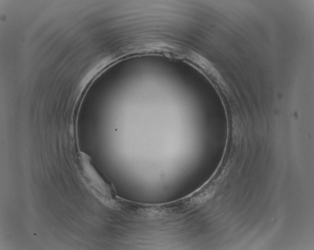 X0000077401234200611032018