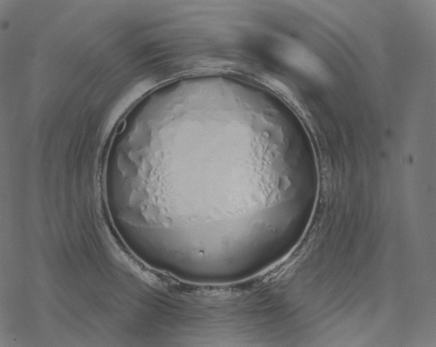 X0000077401235200611032018