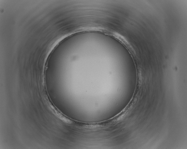 X0000077401236200611032018