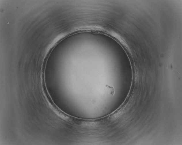 X0000077401237200611032018