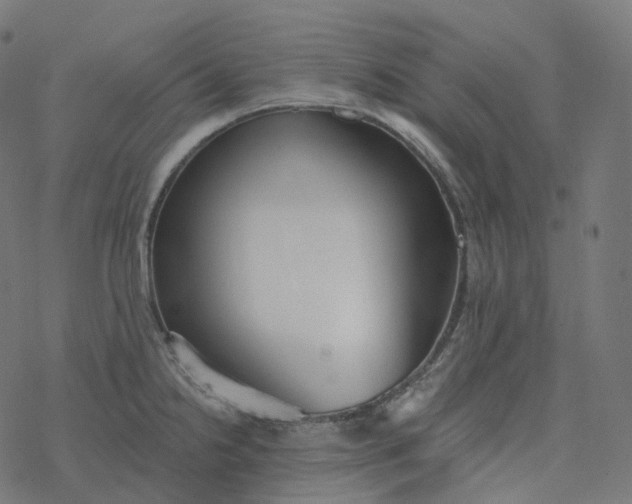 X0000077401238200611032018