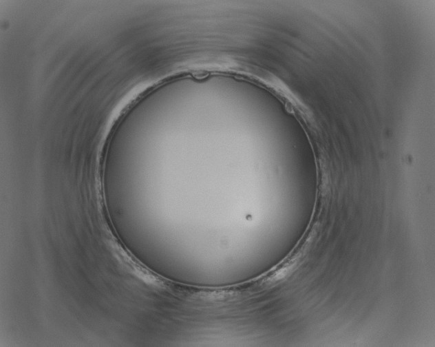 X0000077401240200611032018