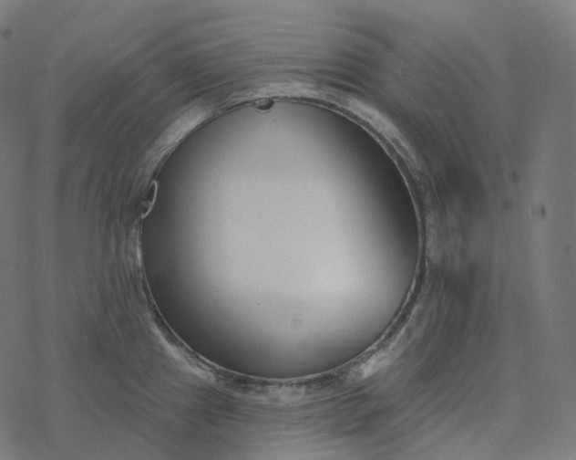 X0000077401241200611032018