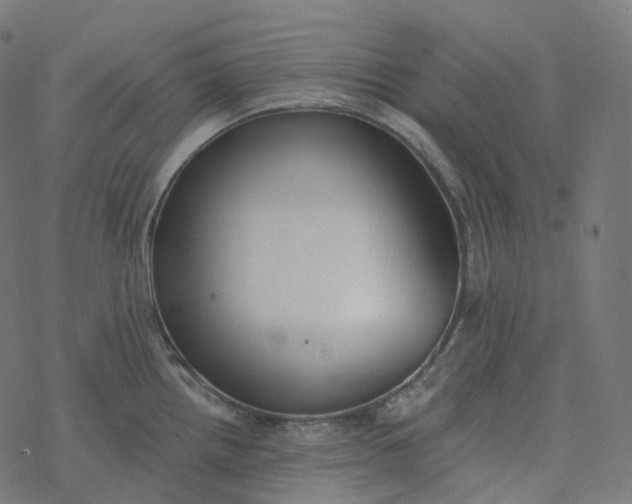 X0000077401242200611032018