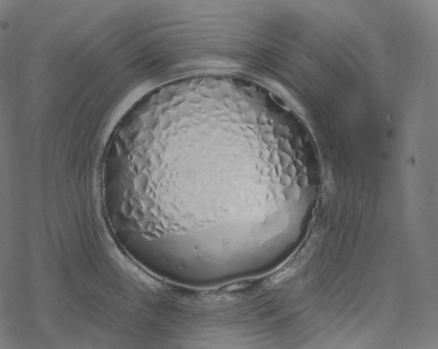 X0000077401243200611032018