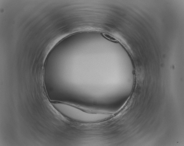 X0000077401244200611032018