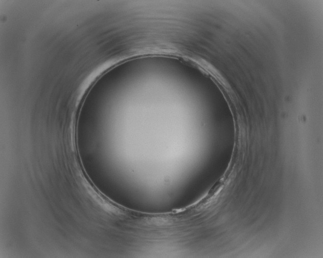 X0000077401246200611032018