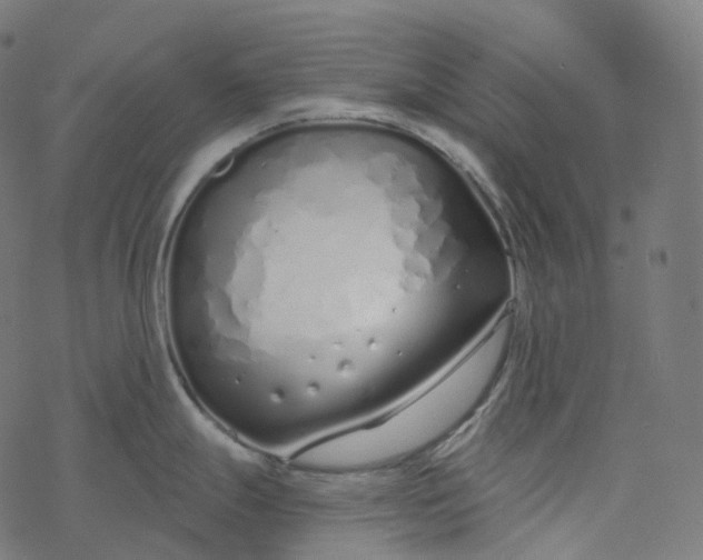 X0000077401247200611032018