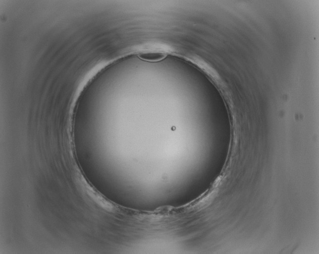 X0000077401248200611032018