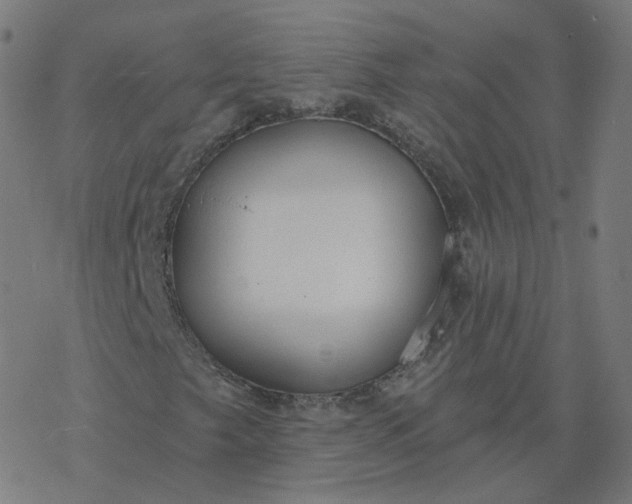 X0000077401249200611032018