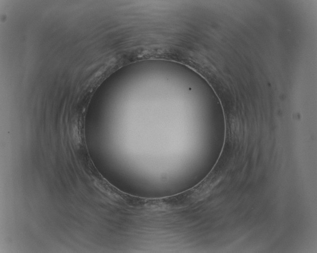 X0000077401250200611032018