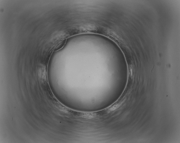 X0000077401251200611032018