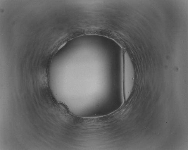 X0000077401252200611032018