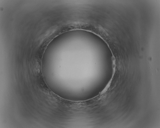 X0000077401253200611032018