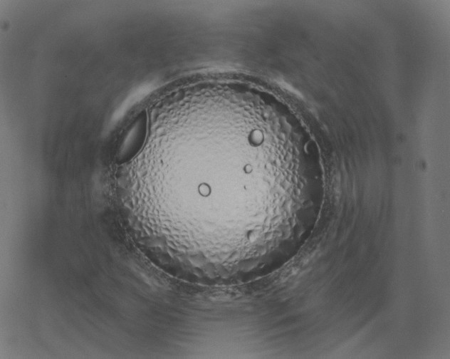 X0000077401255200611032018