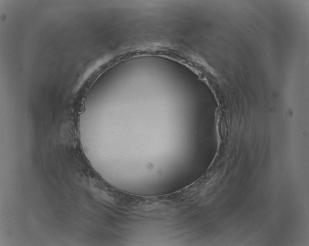 X0000077401256200611032018