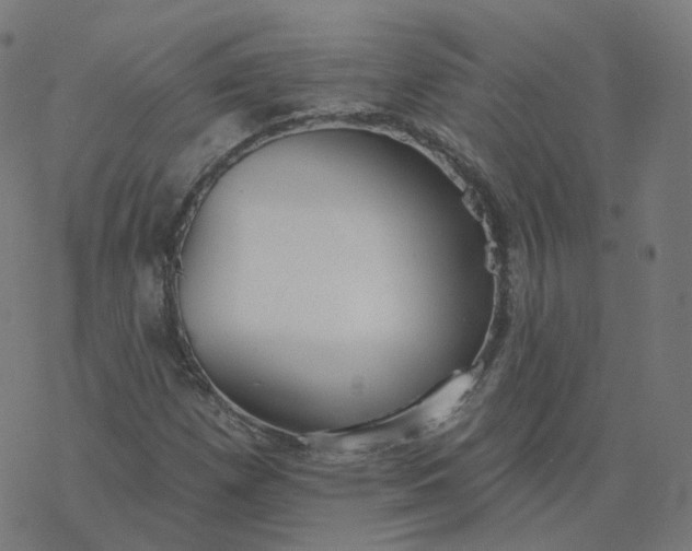 X0000077401257200611032018