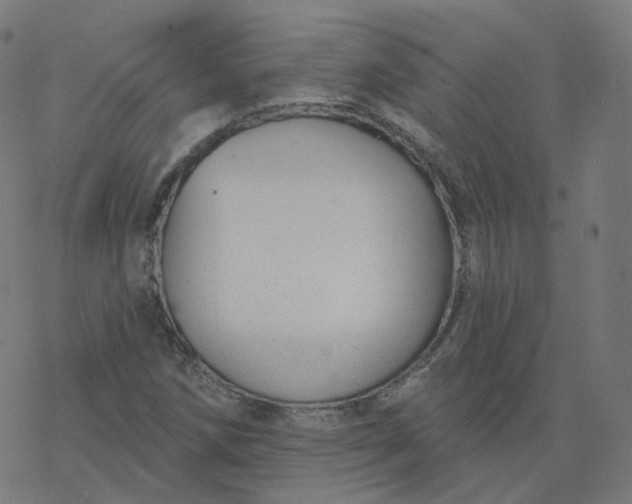 X0000077401258200611032018