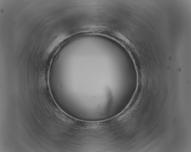 X0000077401259200611032018