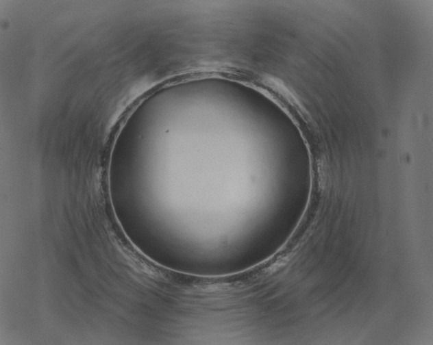 X0000077401260200611032018