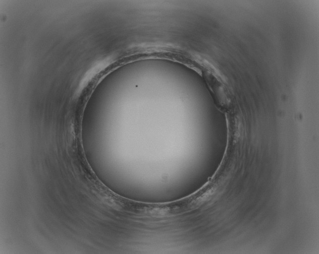 X0000077401261200611032018