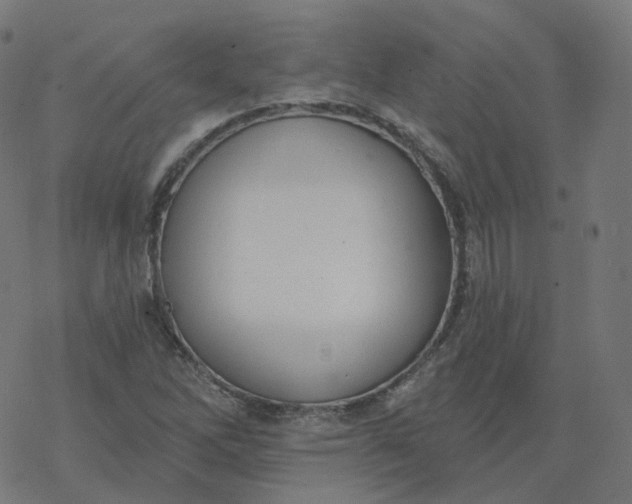 X0000077401262200611032018