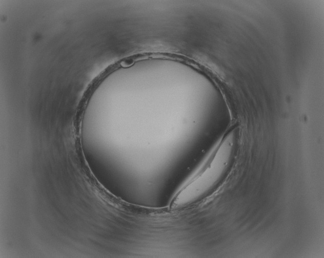 X0000077401264200611032017