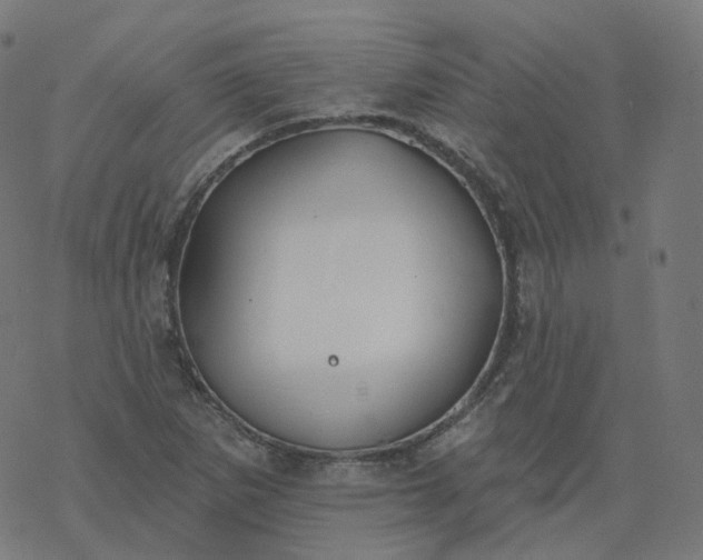 X0000077401265200611032017