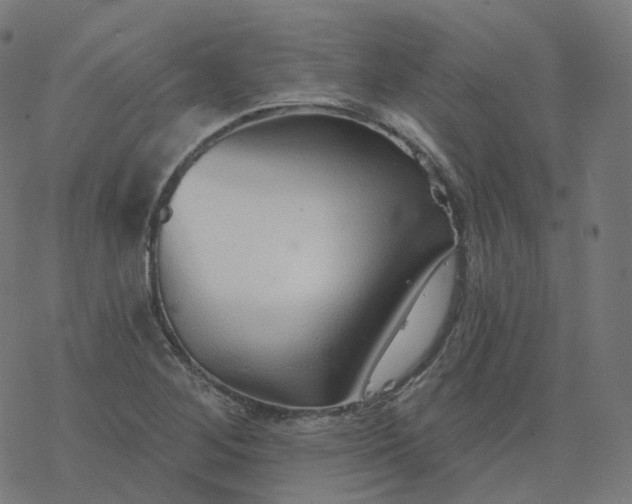 X0000077401268200611032017