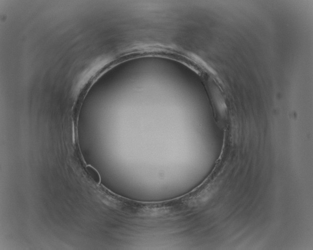 X0000077401269200611032017