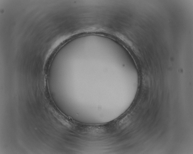 X0000077401270200611032017