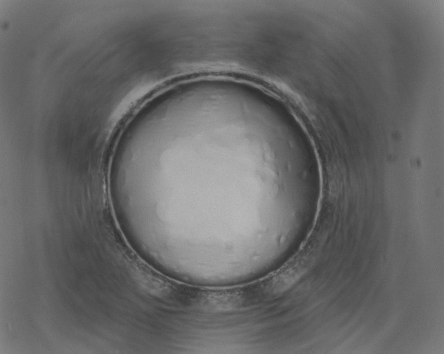 X0000077401271200611032017